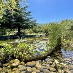 gite - Le Mas du C&acirc;prier - CHARLEVAL - Bouches-du-Rh&ocirc;ne