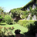 photo7