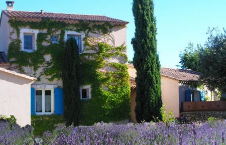 Chambre d'h&ocirc;tes n&deg;84G1382 Lacoste - Vaucluse - Le clos des lavandes &agrave; Lacoste Luberon
