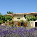 gite - St Roch - CASTELLET-EN-LUBERON - Vaucluse
