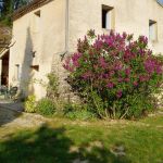 gite - Au bout du Chemin - MALAUCENE - Vaucluse