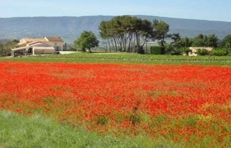 G&icirc;te n&deg;84G2367 Roussillon - Vaucluse - photo