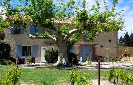 G&icirc;te n&deg;84G3531 Beaumes-de-Venise - Vaucluse - LA MAISON