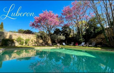 La piscine au printemps Gîte de groupe n°84G3058 Cadenet - Vaucluse - La piscine au printemps