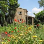 gite - La Petite Maison - BEDARRIDES - Vaucluse