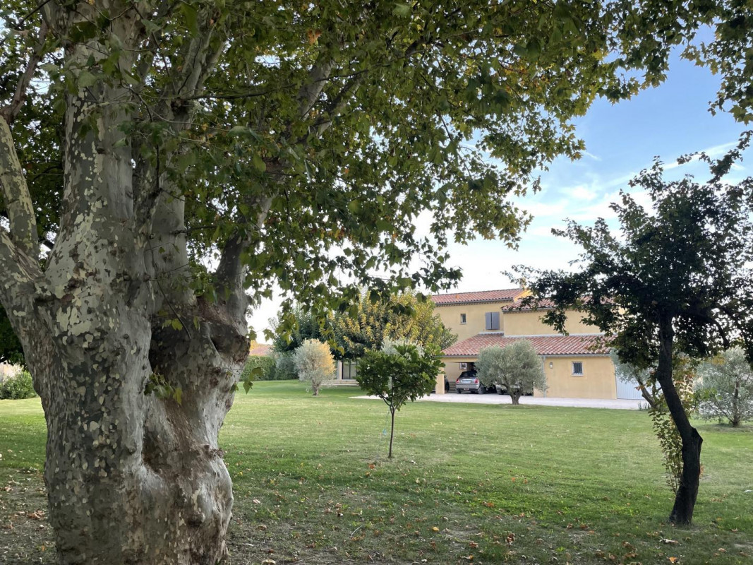 photo 51