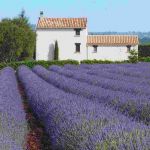 gite - Les Maillores - SAINT-JEAN-DE-SAULT - Vaucluse