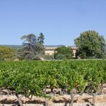 gite - Le Mas des Micocouliers - SAINT-SATURNIN-LES-APT - Vaucluse