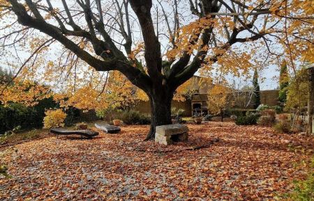 G&icirc;te n&deg;84G3765 Pernes-les-Fontaines - Vaucluse - photoAutomne